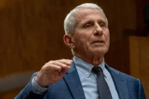 dr fauci